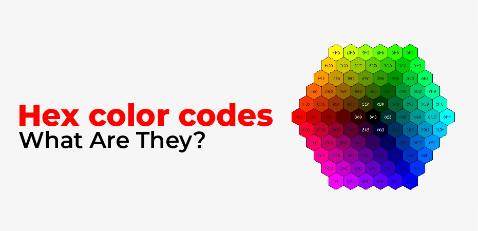 Color Hex Codes – A Beginners Hexadecimal Guide