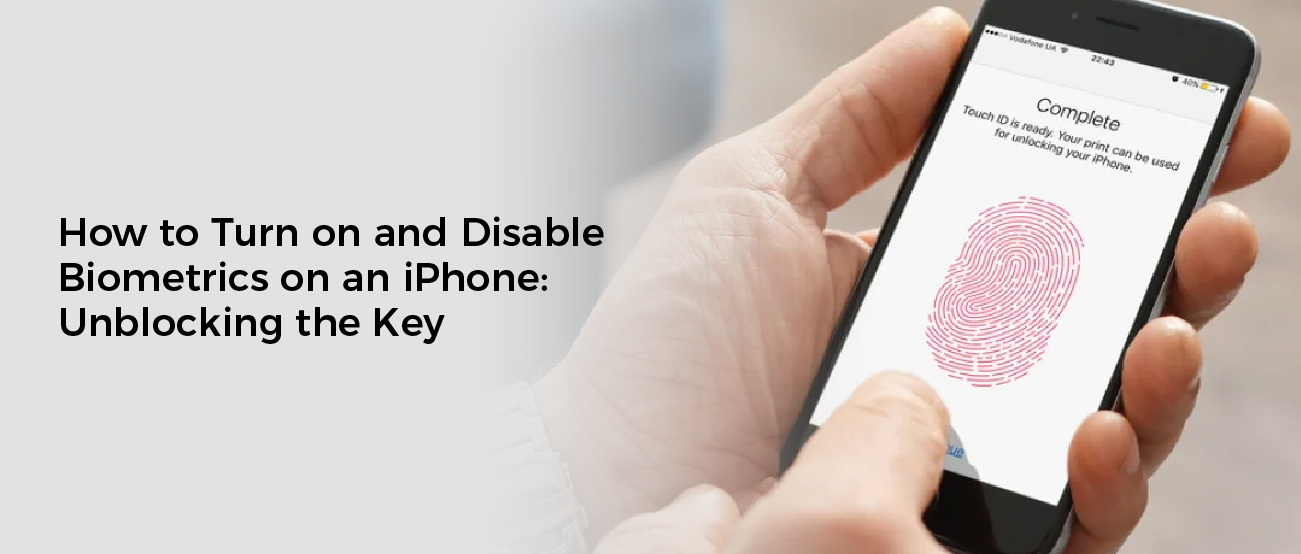 How to Turn on and Disable Biometrics on an iPhone: Unblocking the Key